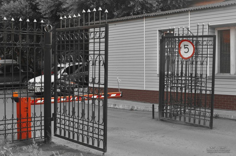 Image 365Project_Day278.jpeg