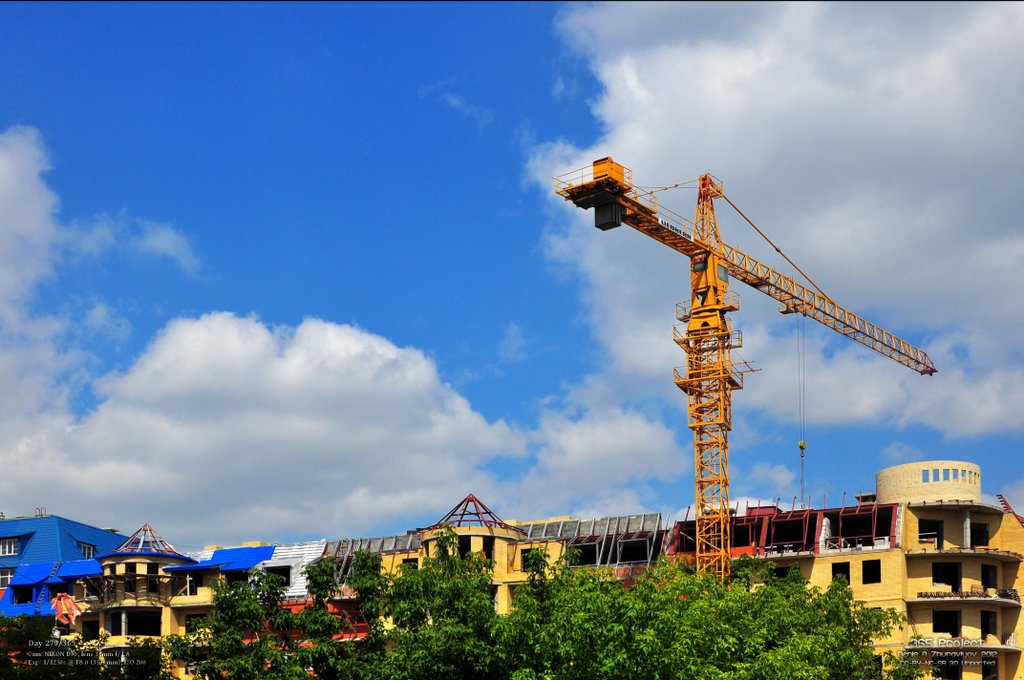 Image 365Project_Day279.jpeg