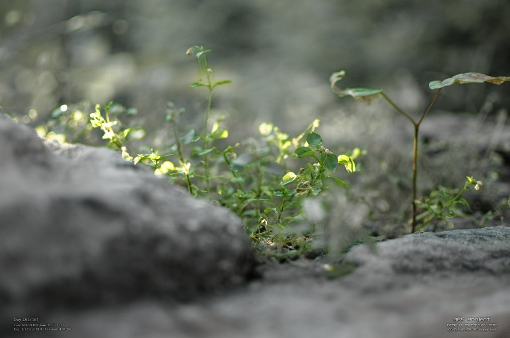 Image 365Project_Day282.jpeg