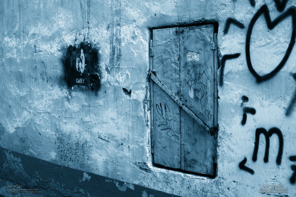 Image 365Project_Day285.jpeg