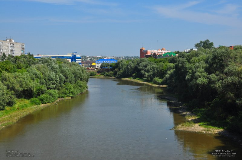 Image 365Project_Day286.jpeg