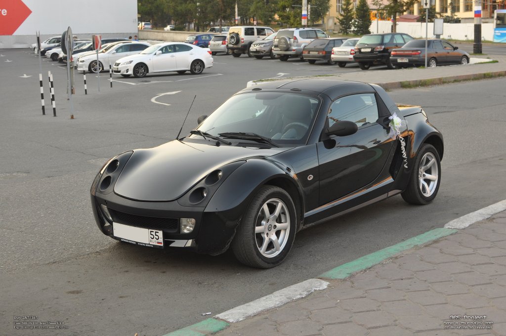 Image 365Project_Day287.jpeg