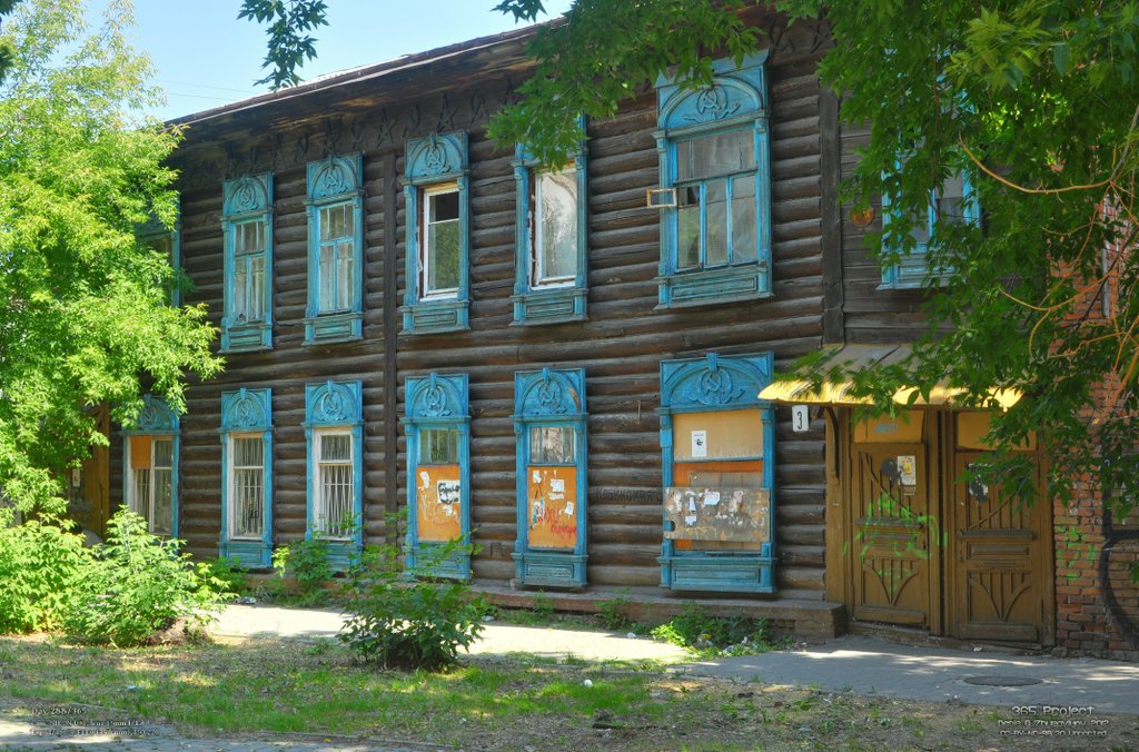 Image 365Project_Day288.jpeg