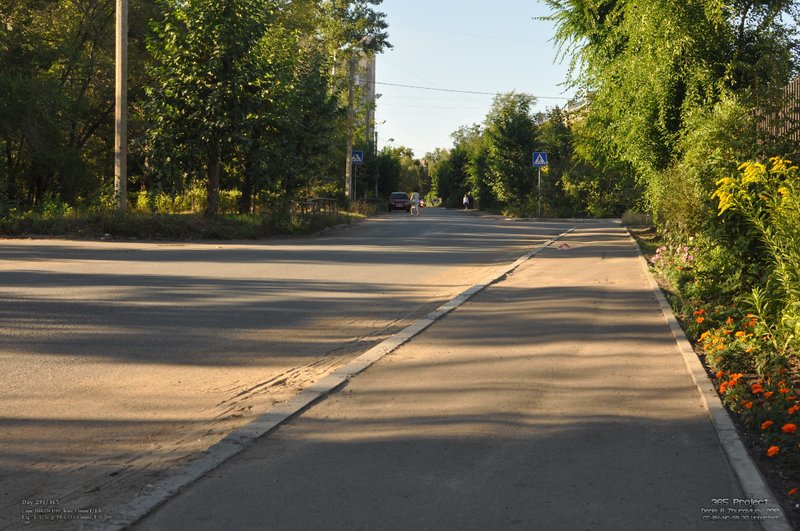 Image 365Project_Day291.jpeg