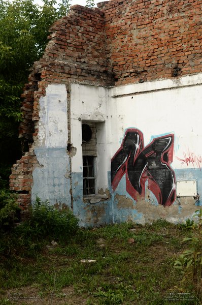 Image 365Project_Day293.jpeg