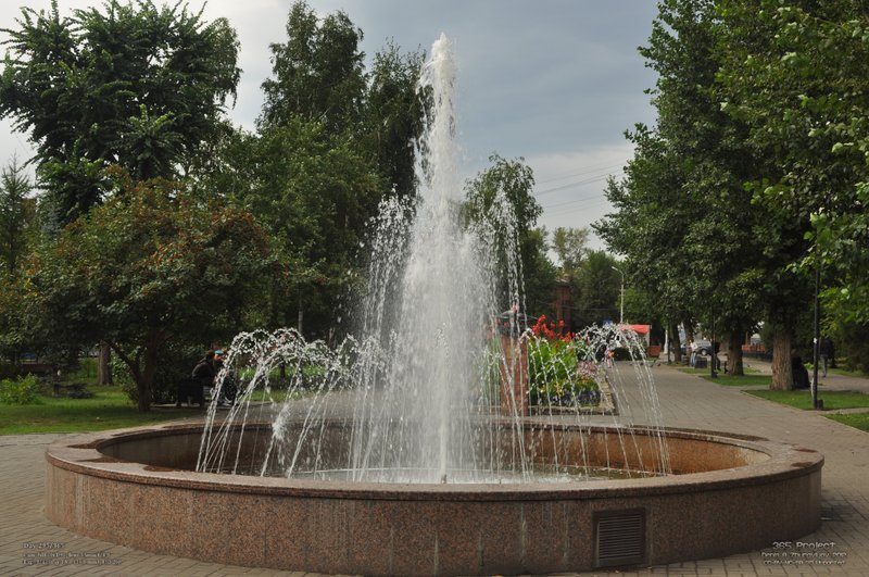 Image 365Project_Day295.jpeg