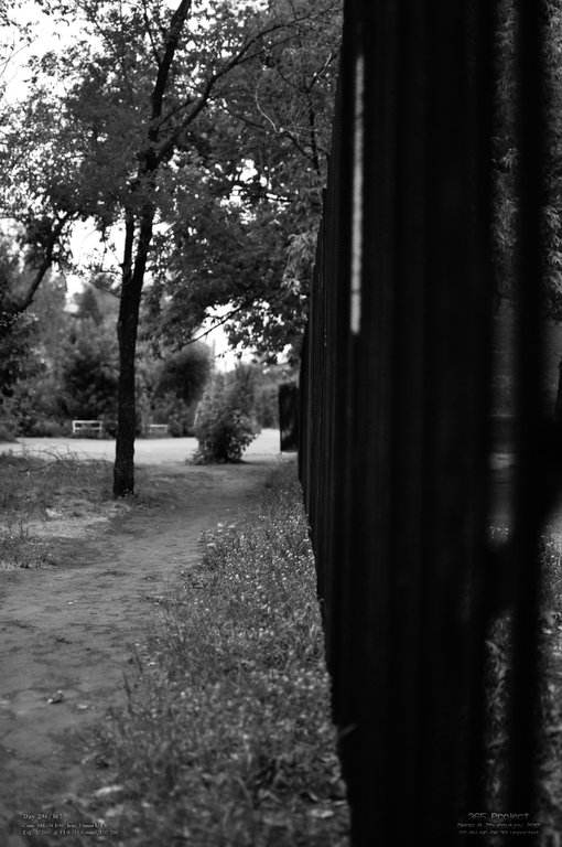 Image 365Project_Day296.jpeg