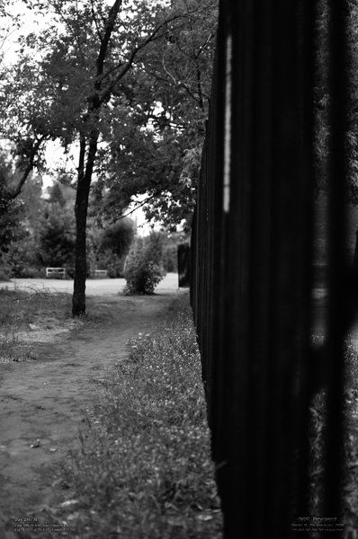 Image 365Project_Day296.jpeg