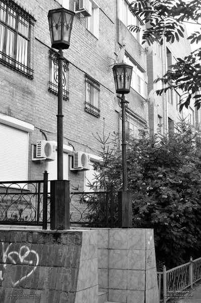 Image 365Project_Day299.jpeg