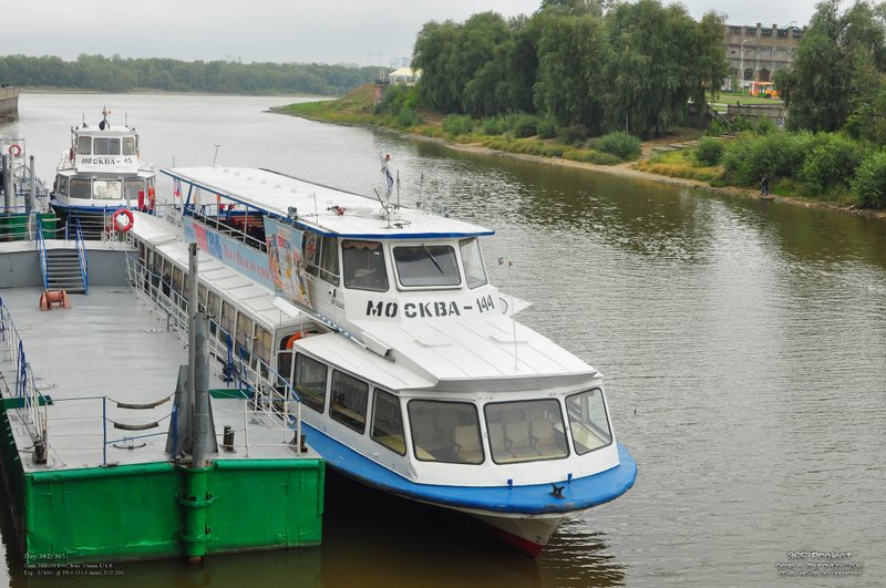 Image 365Project_Day302.jpeg