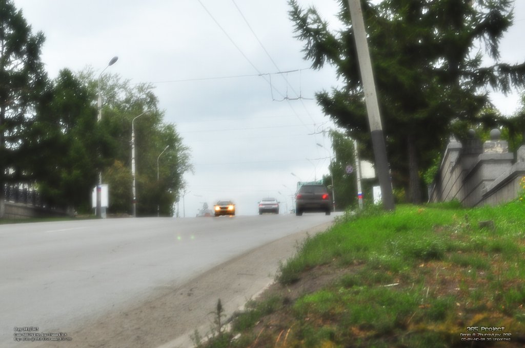 Image 365Project_Day303.jpeg