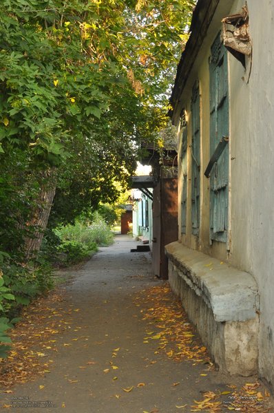 Image 365Project_Day306.jpeg