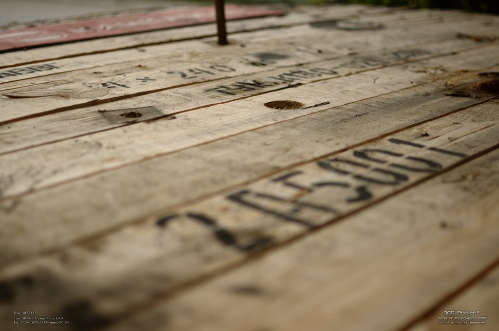 Image 365Project_Day307.jpeg