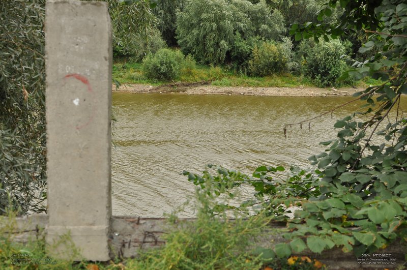 Image 365Project_Day310.jpeg