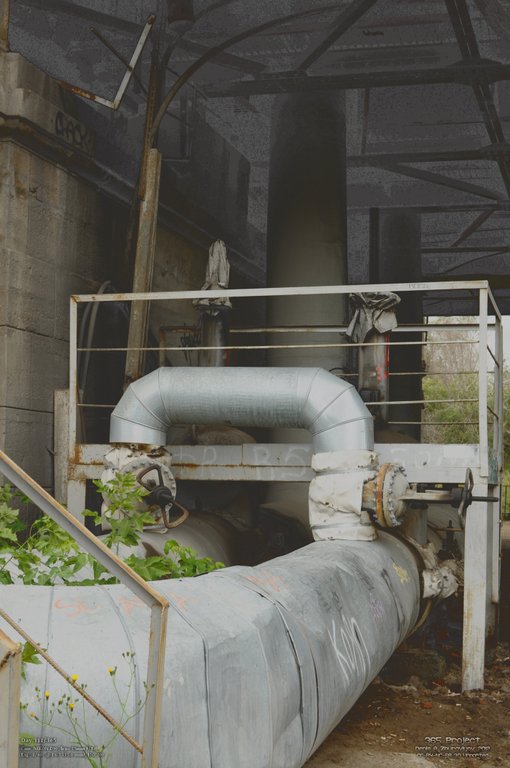 Image 365Project_Day311.jpeg