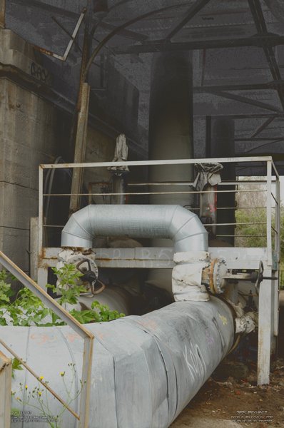 Image 365Project_Day311.jpeg