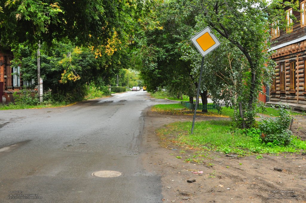 Image 365Project_Day312.jpeg