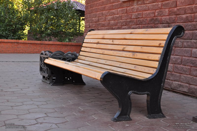 Image 365Project_Day313.jpeg