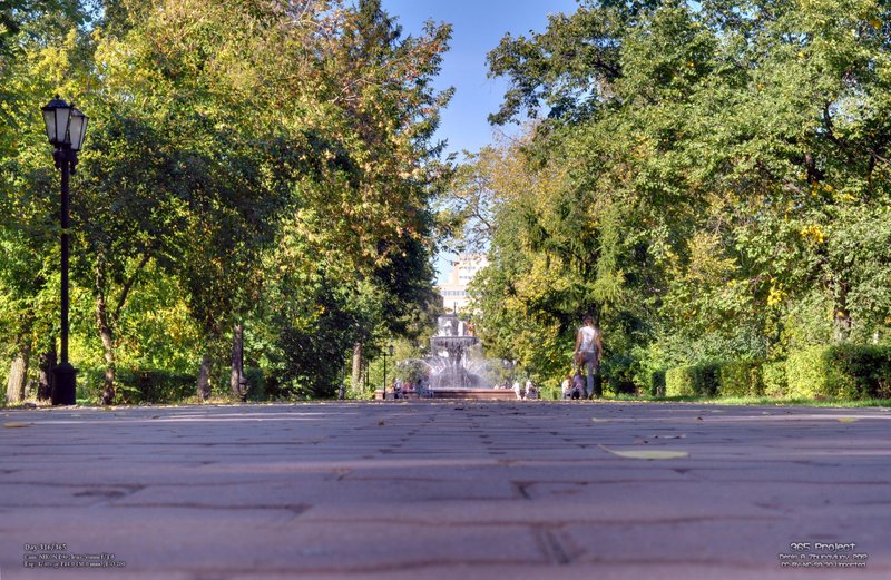 Image 365Project_Day316.jpeg