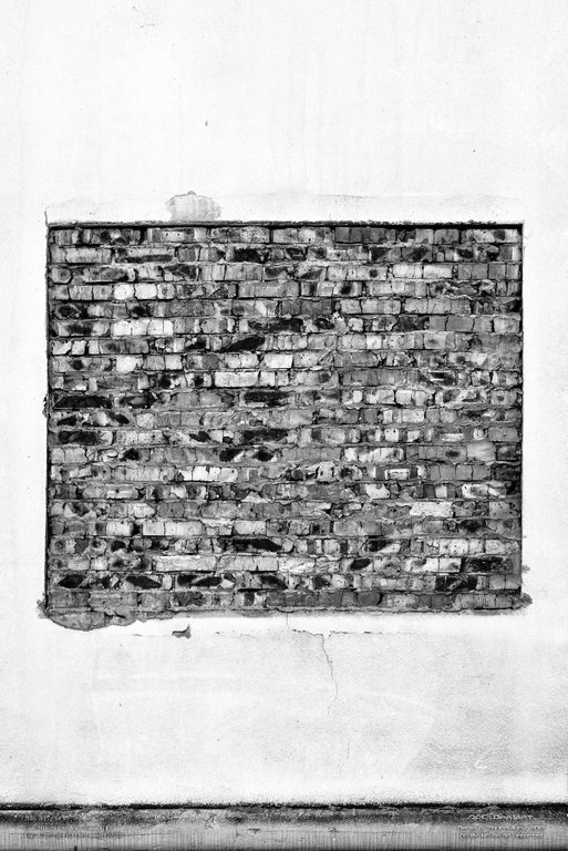 Image 365Project_Day317.jpeg