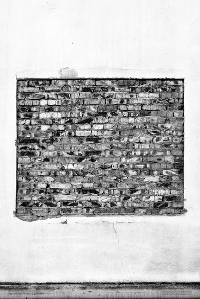 Image 365Project_Day317.jpeg