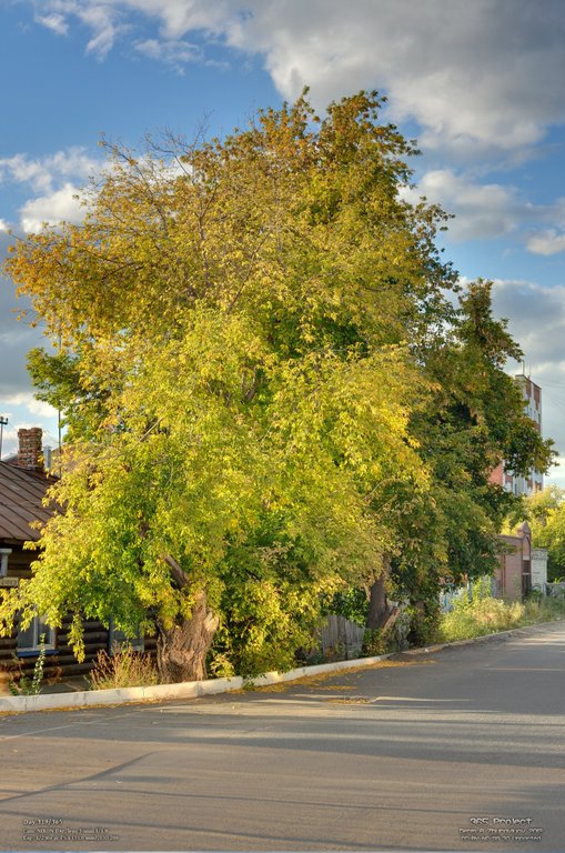 Image 365Project_Day319.jpeg