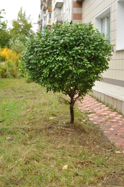 Image 365Project_Day322.jpeg