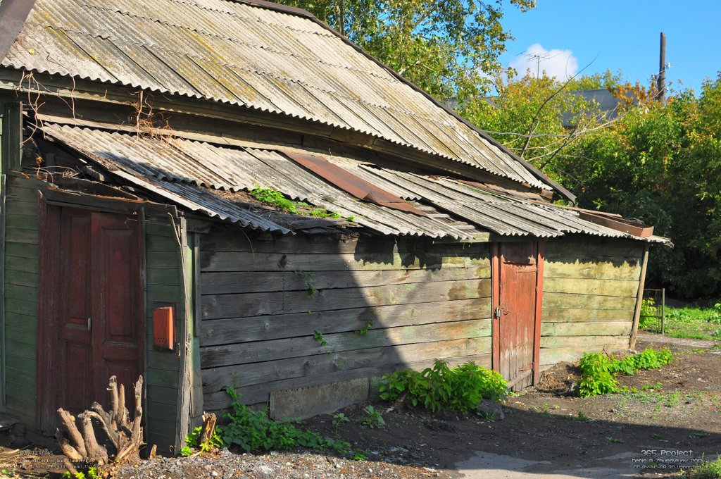 Image 365Project_Day323.jpeg