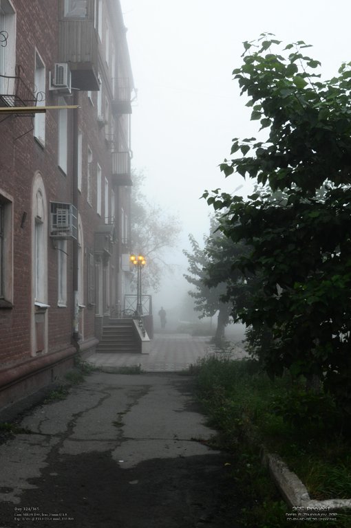 Image 365Project_Day324.jpeg