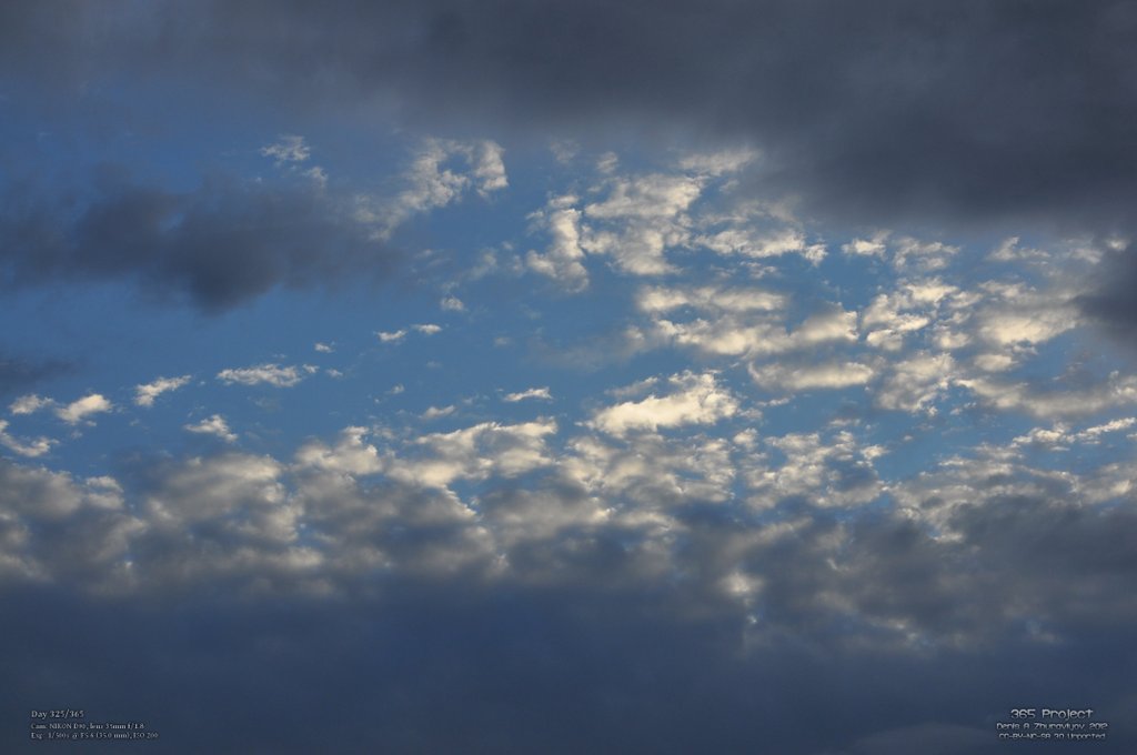 Image 365Project_Day325.jpeg