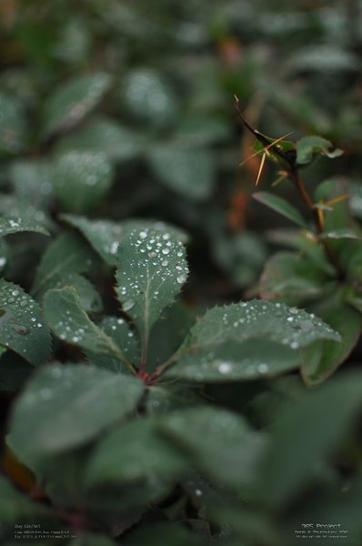 Image 365Project_Day326.jpeg