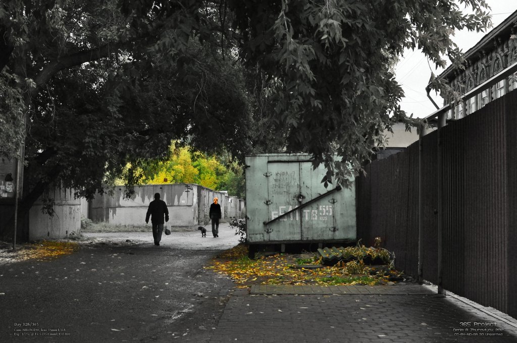 Image 365Project_Day328.jpeg