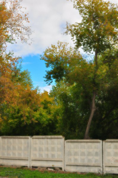 Image 365Project_Day329.jpeg