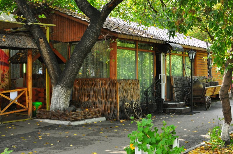 Image 365Project_Day330.jpeg