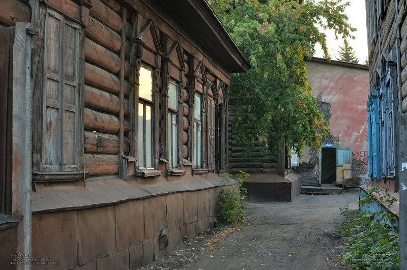 Image 365Project_Day331.jpeg