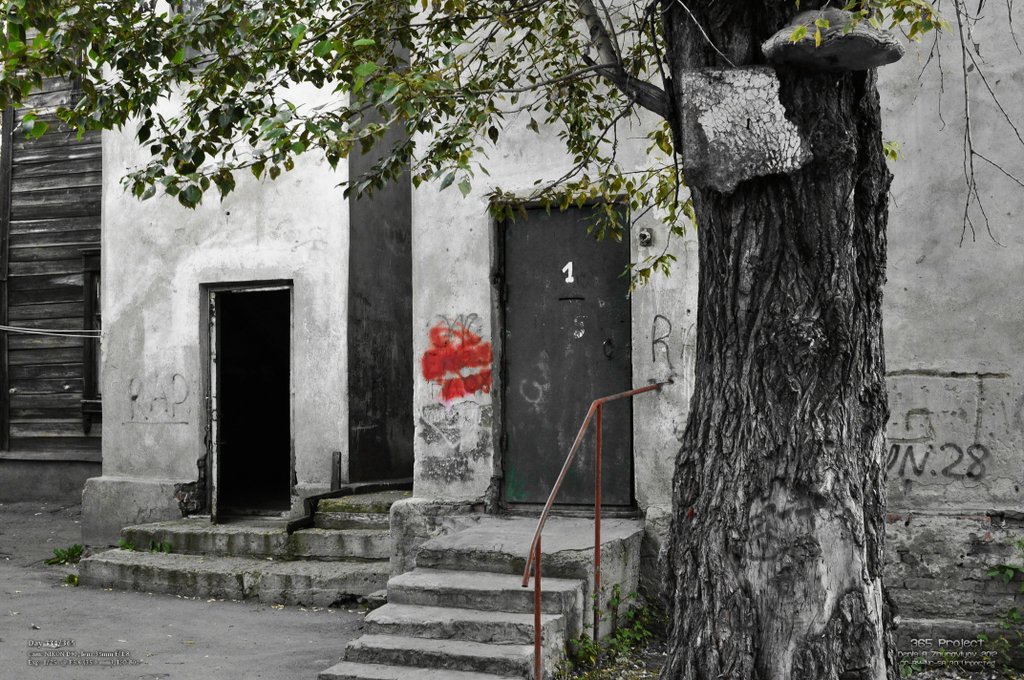 Image 365Project_Day334.jpeg