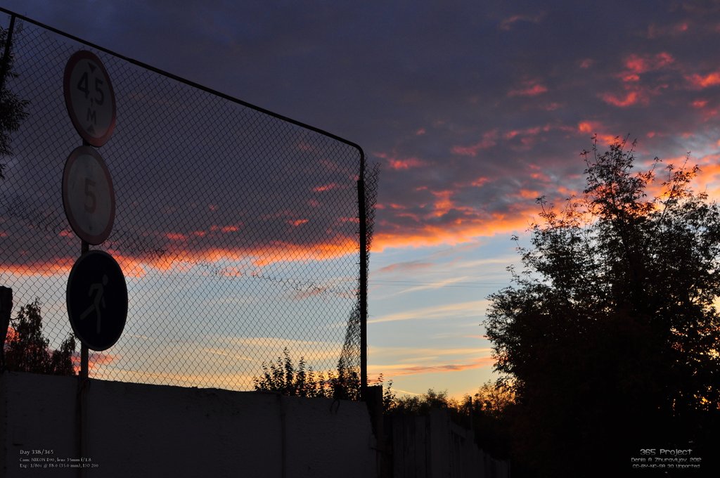 Image 365Project_Day338.jpeg