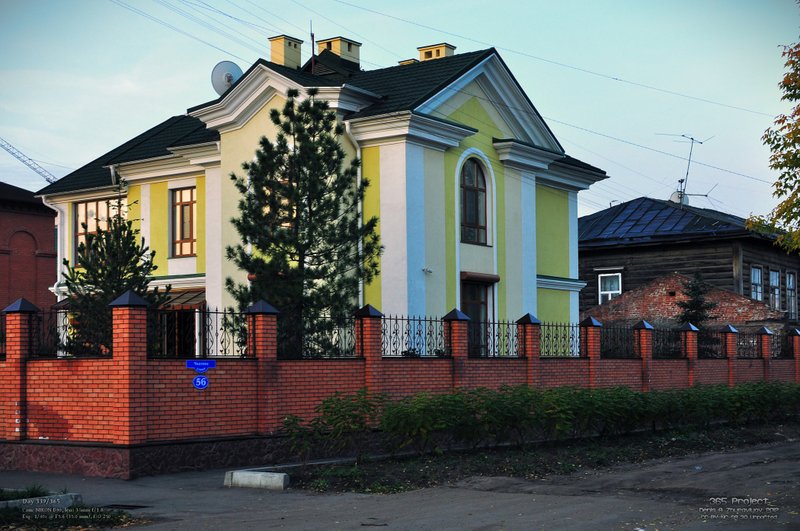 Image 365Project_Day339.jpeg