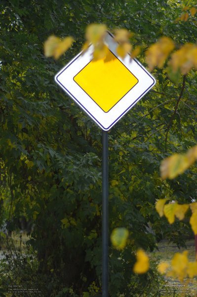 Image 365Project_Day341.jpeg