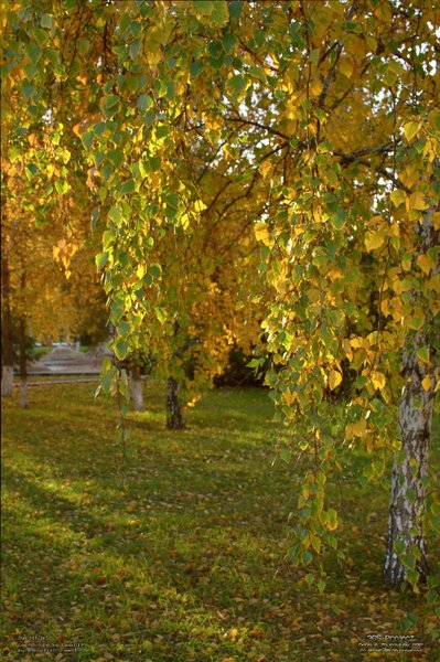 Image 365Project_Day343.jpeg