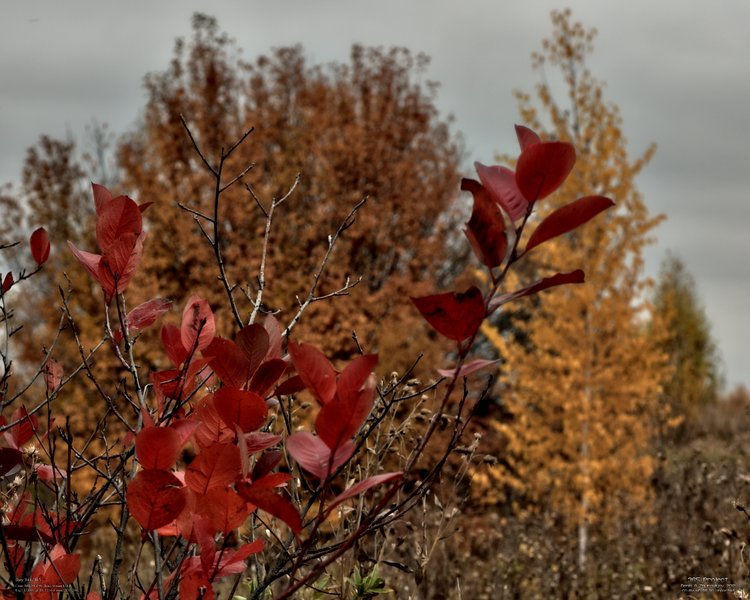 Image 365Project_Day344.jpeg