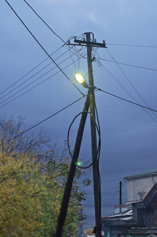 Image 365Project_Day345.jpeg