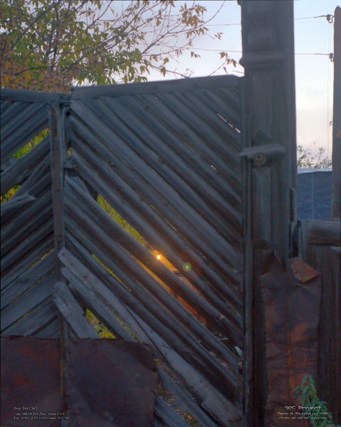 Image 365Project_Day346.jpeg