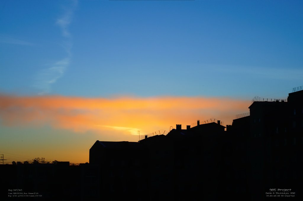 Image 365Project_Day347.jpeg