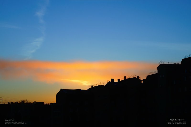 Image 365Project_Day347.jpeg