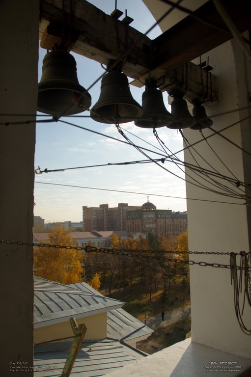 Image 365Project_Day351.jpeg