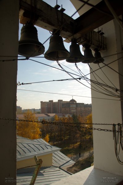 Image 365Project_Day351.jpeg