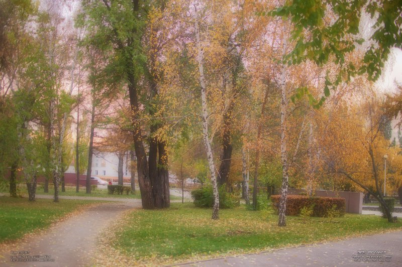 Image 365Project_Day354.jpeg