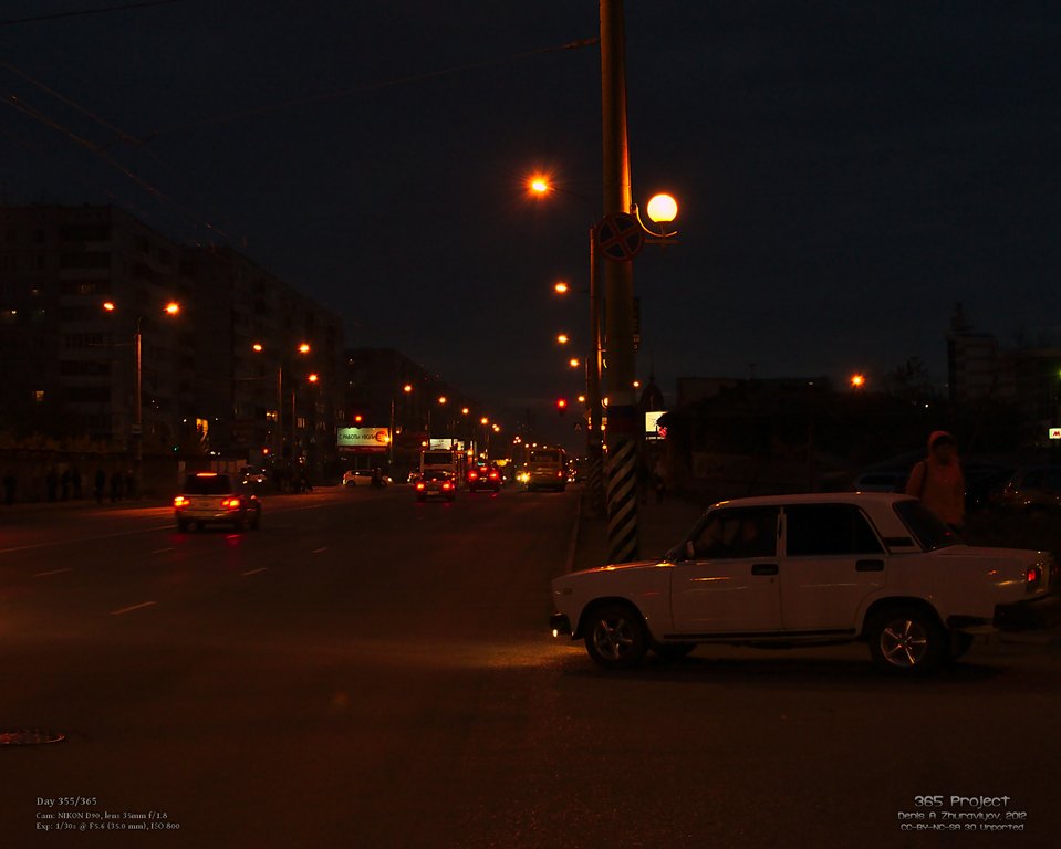 Image 365Project_Day355.jpeg