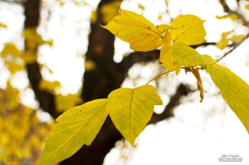 Image 365Project_Day356.jpeg